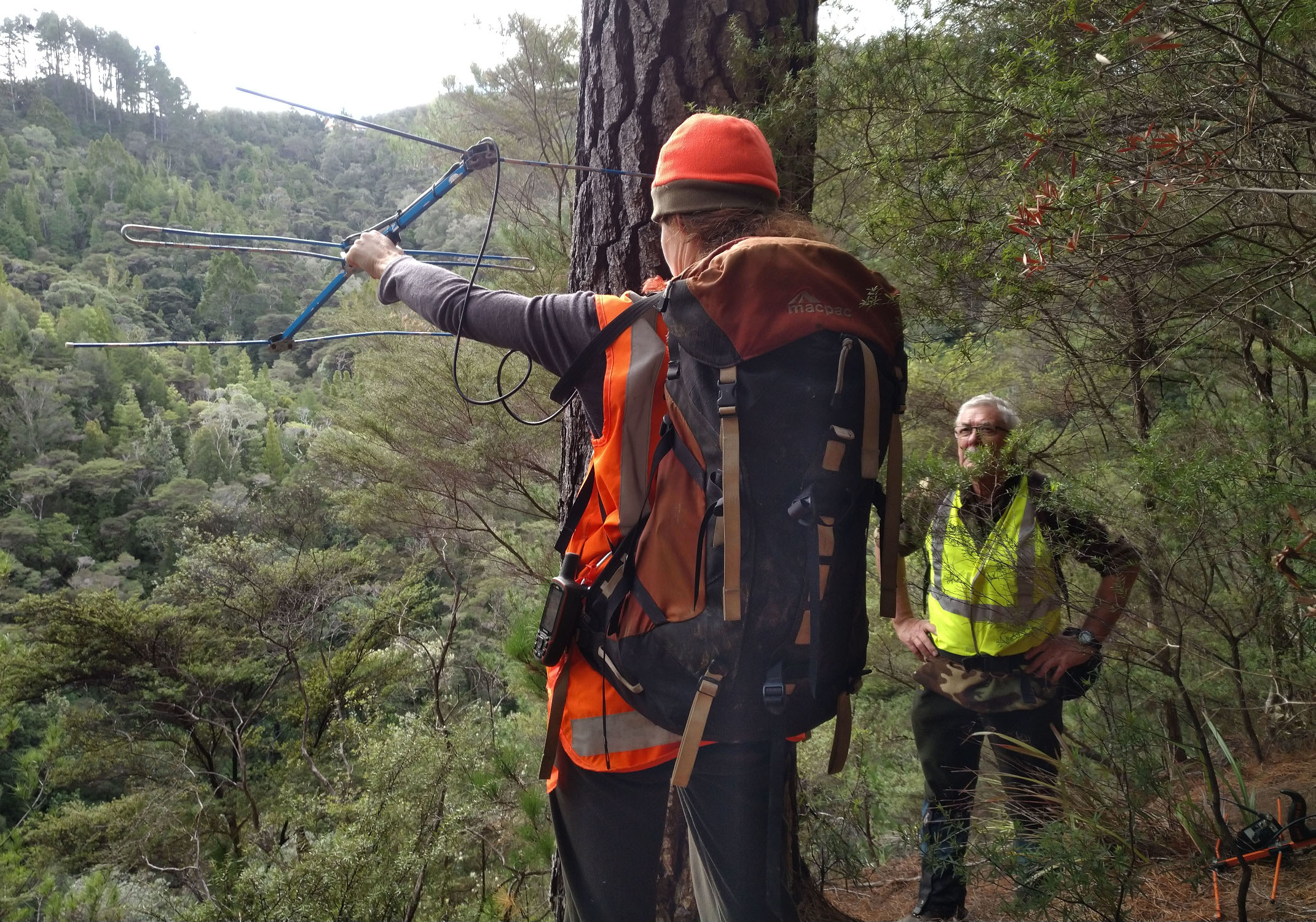 Scanning for kiwi transponders
