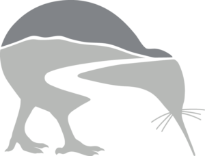 Footer kiwi logo