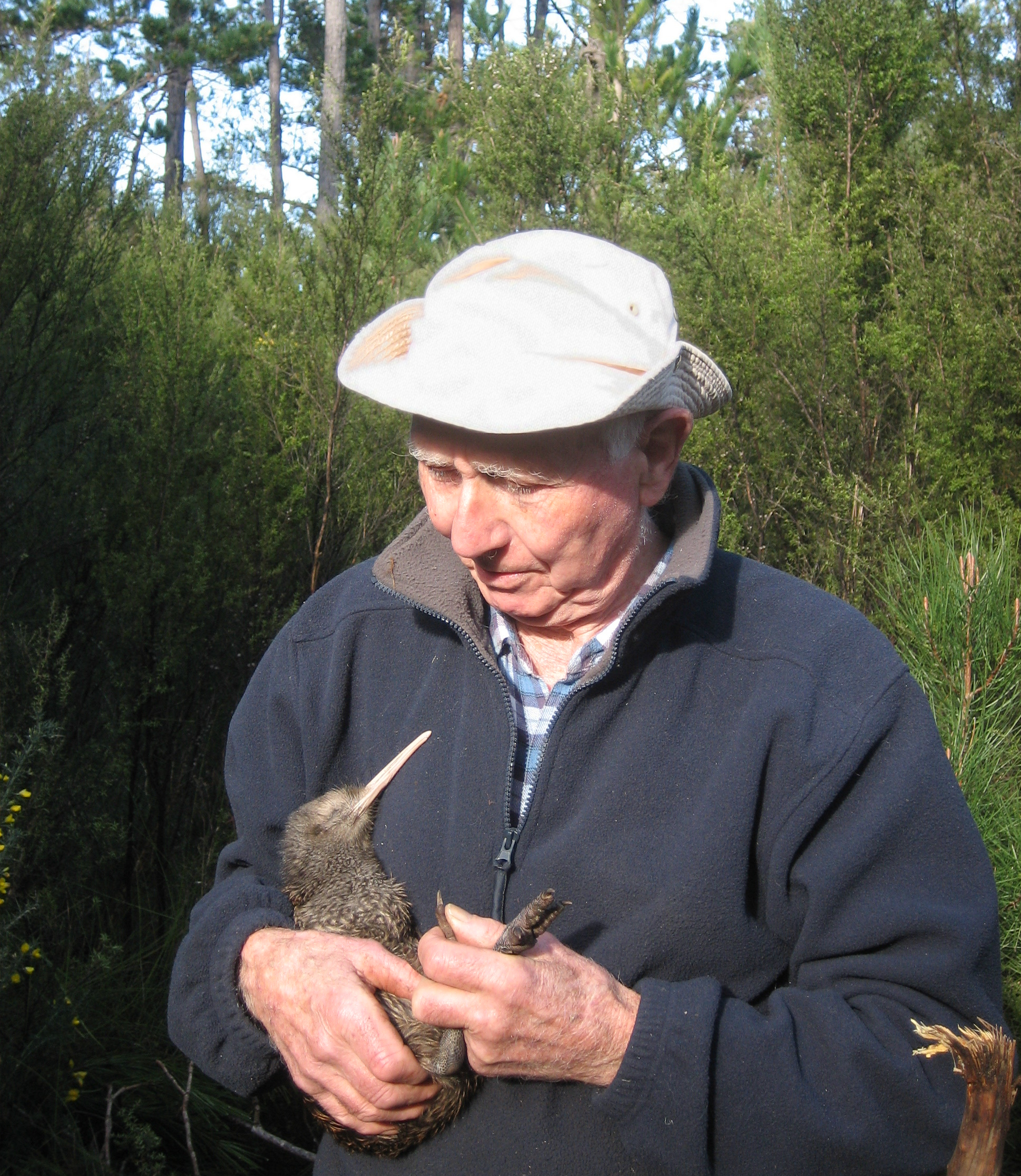 Photo of Des Veal with juvenile kiwi