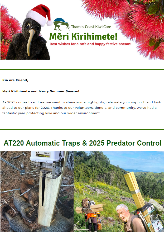 Thames Coast Kiwi Care Newsletter - December 2025
